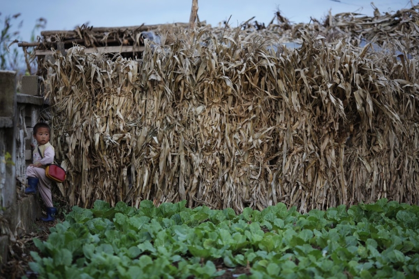 Childhood in North Korea: how children grow up in the most closed country in the world