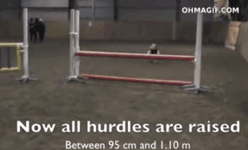 Children are such children: GIFs that will definitely make you smile Children are such children: GIFs that will definitely make you smile