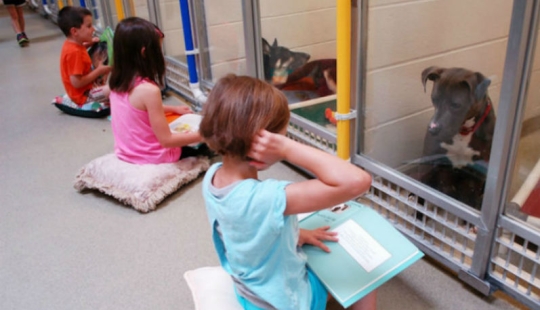 Children read aloud at an animal shelter to help bullied and shy dogs adapt
