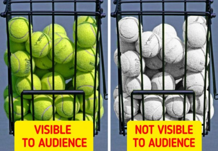 Children's questions that adults do not have answers