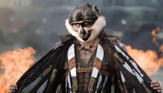 Ciudad brasileña aterrorizada por mono con machete Ciudad brasileña aterrorizada por mono con machete