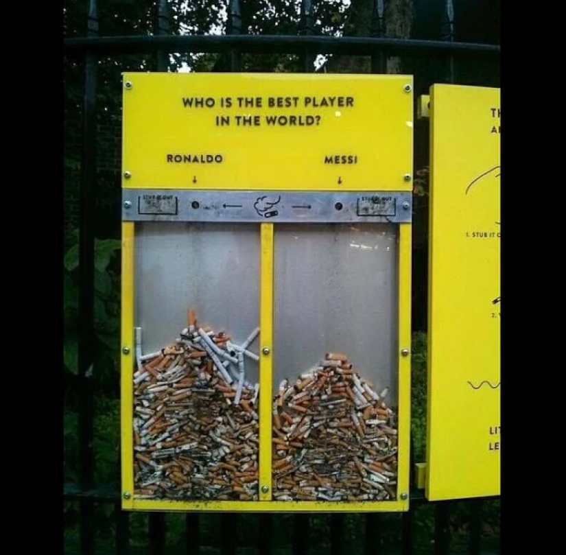 Clean streets, tree rights and a 4-day working week: the most amazing innovations in other countries Clean streets, tree rights and a 4-day working week: the most amazing innovations in other countries