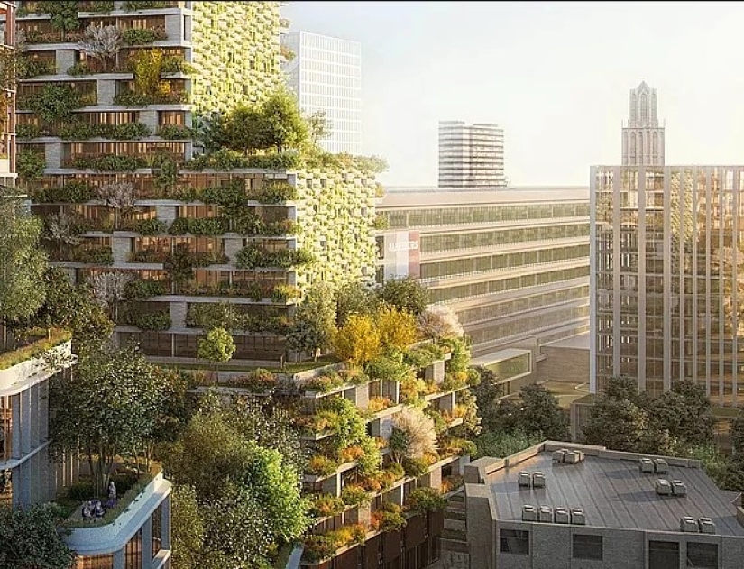 Clean streets, tree rights and a 4-day working week: the most amazing innovations in other countries Clean streets, tree rights and a 4-day working week: the most amazing innovations in other countries