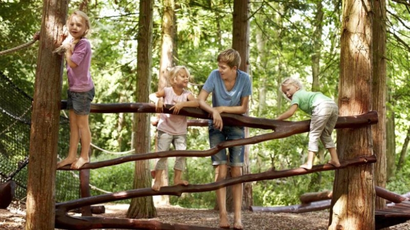 Clean streets, tree rights and a 4-day working week: the most amazing innovations in other countries Clean streets, tree rights and a 4-day working week: the most amazing innovations in other countries