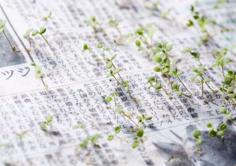 Clean streets, tree rights and a 4-day working week: the most amazing innovations in other countries Clean streets, tree rights and a 4-day working week: the most amazing innovations in other countries