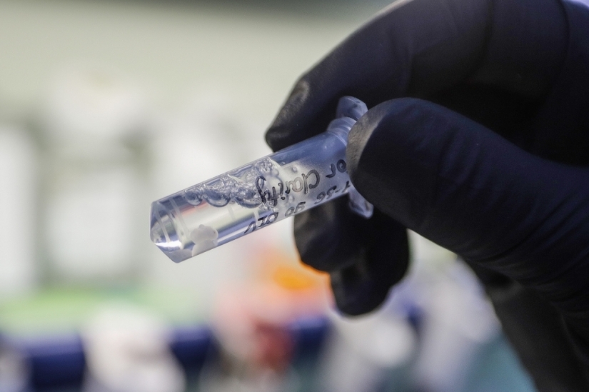 Cómo apareció el veneno de combate Novichok y por qué tiene un nombre tan extraño Cómo apareció el veneno de combate Novichok y por qué tiene un nombre tan extraño