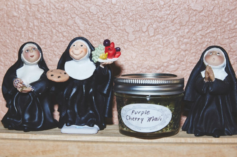 Cómo Cultivan marihuana las Monjas de California Cómo Cultivan marihuana las Monjas de California