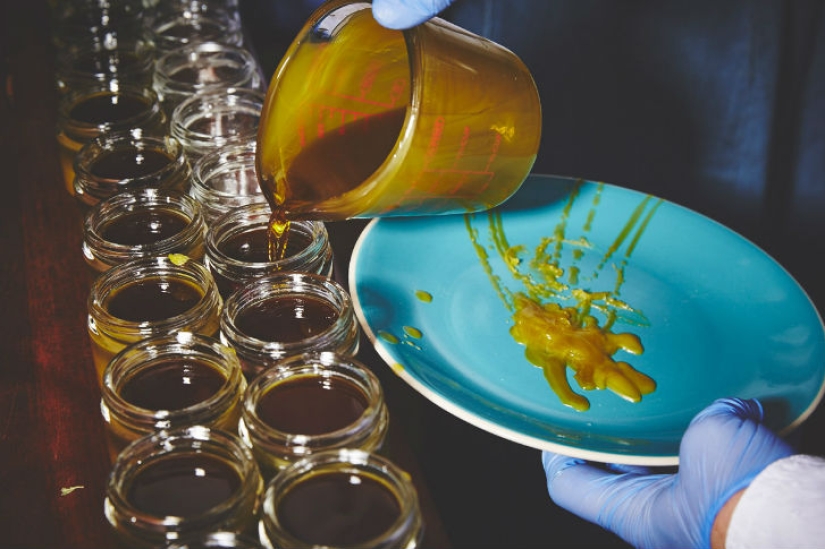 Cómo Cultivan marihuana las Monjas de California Cómo Cultivan marihuana las Monjas de California