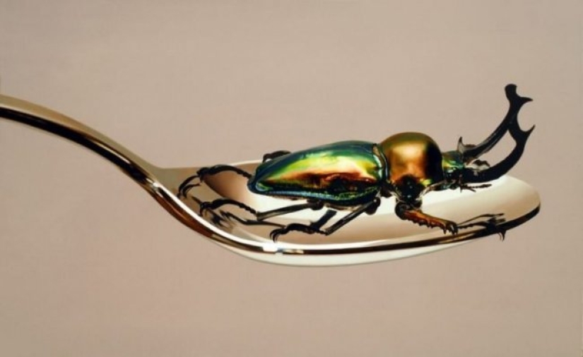 Cómo dibujar una foto: Increíbles pinturas hiperrealistas de un artista surcoreano Cómo dibujar una foto: Increíbles pinturas hiperrealistas de un artista surcoreano