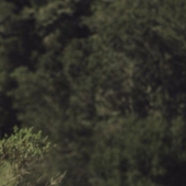 Cómo el actor porno Owen Gray se convirtió en una estrella de Tiktok y un Meme