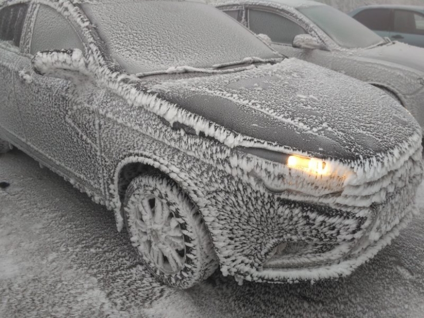 Cómo el invierno convierte los coches en obras de arte