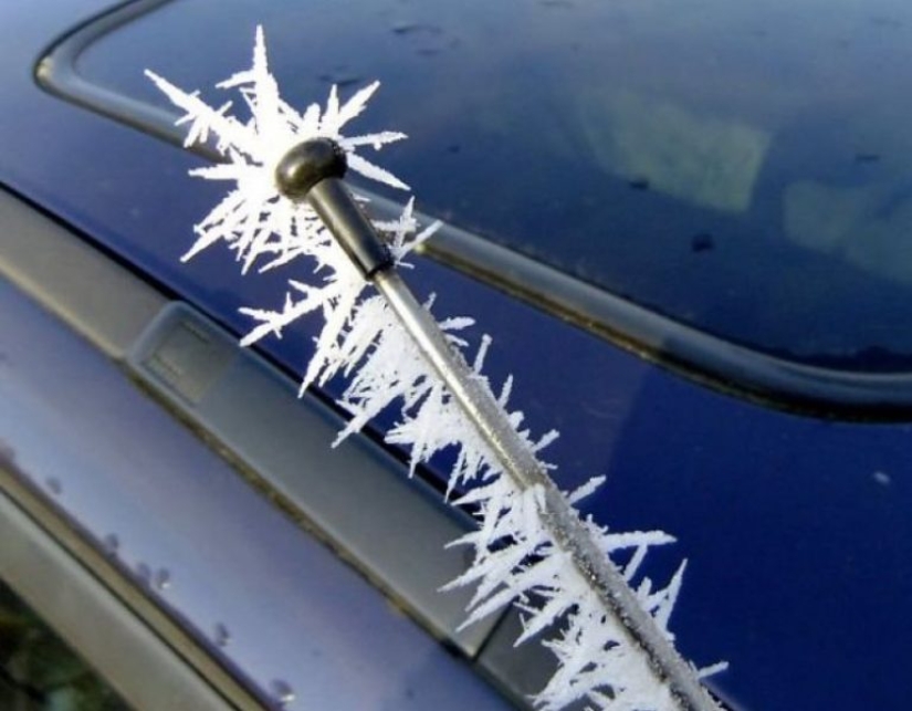 Cómo el invierno convierte los coches en obras de arte