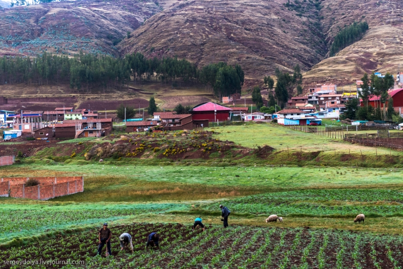 Cómo ganar 10 millones al día con piedras viejas. La experiencia de Perú