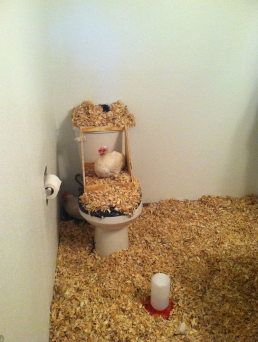 Cómo hacer que un amigo recuerde el 1 de abril para siempre Cómo hacer que un amigo recuerde el 1 de abril para siempre