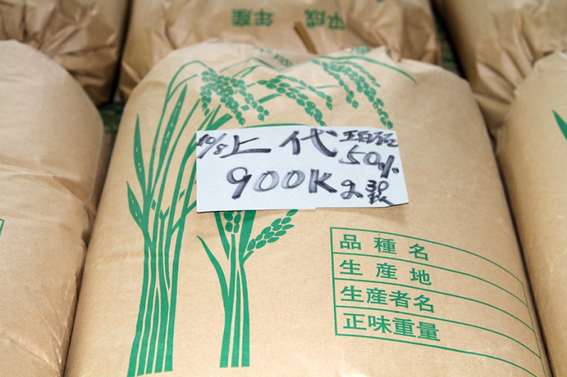 Cómo hacer sake en Japón