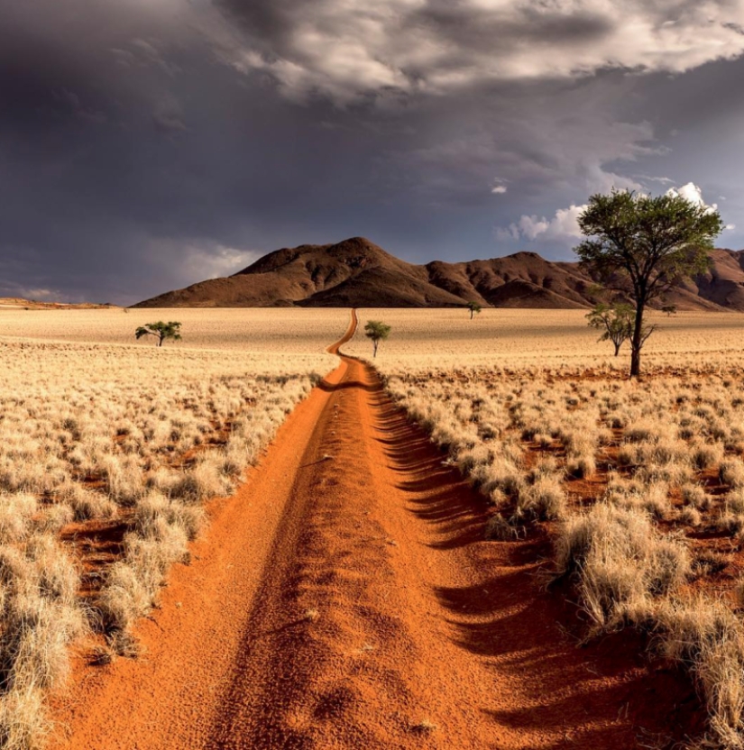 Cómo hacer una hermosa foto y obtener un póster para una película? Esta persona sabe la respuesta con certeza