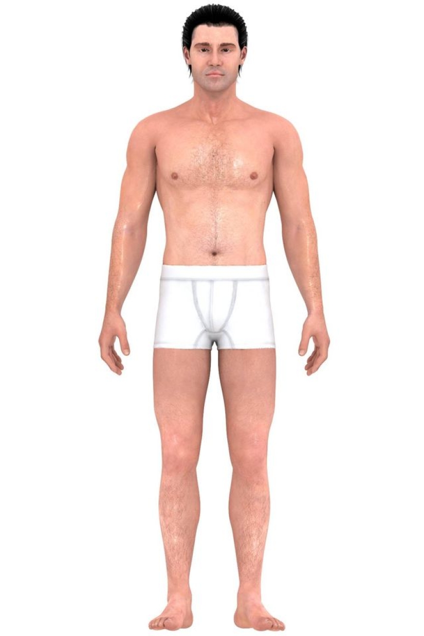 Cómo han cambiado las ideas sobre el cuerpo masculino ideal en los últimos 150 años Cómo han cambiado las ideas sobre el cuerpo masculino ideal en los últimos 150 años