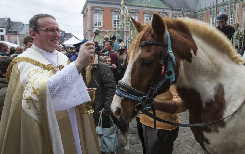 Cómo se bendicen los animales en Bélgica Cómo se bendicen los animales en Bélgica
