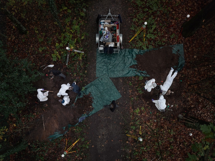 Cómo se forma a los criminólogos en los Países Bajos