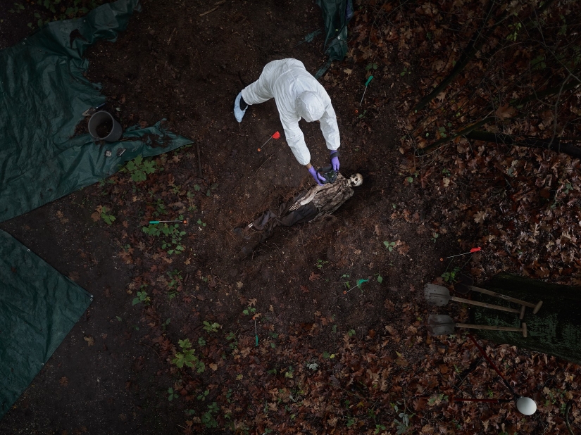 Cómo se forma a los criminólogos en los Países Bajos