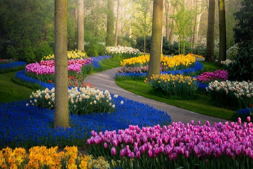 Cómo se ve el Parque de Tulipanes Keukenhof más hermoso sin un solo visitante