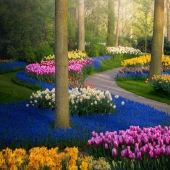 Cómo se ve el Parque de Tulipanes Keukenhof más hermoso sin un solo visitante