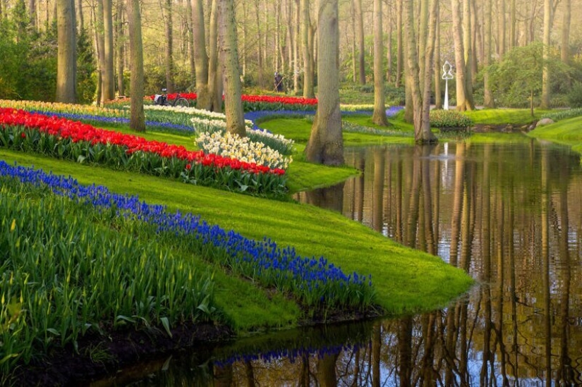 Cómo se ve el Parque de Tulipanes Keukenhof más hermoso sin un solo visitante Cómo se ve el Parque de Tulipanes Keukenhof más hermoso sin un solo visitante