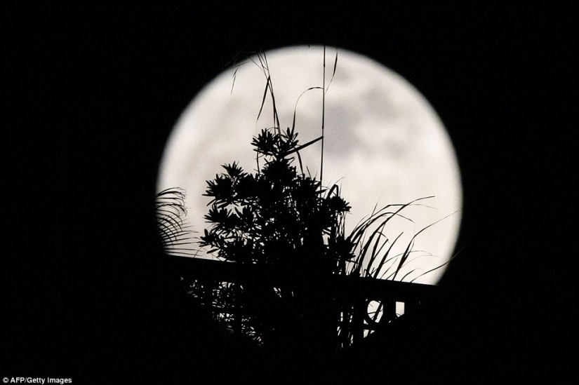 Cómo se veía la superluna en Estados Unidos, España, Reino Unido y Myanmar