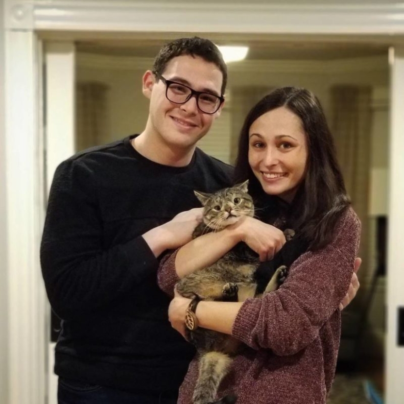 Cómo un gato con un cromosoma extra se convirtió en una estrella de Instagram Cómo un gato con un cromosoma extra se convirtió en una estrella de Instagram