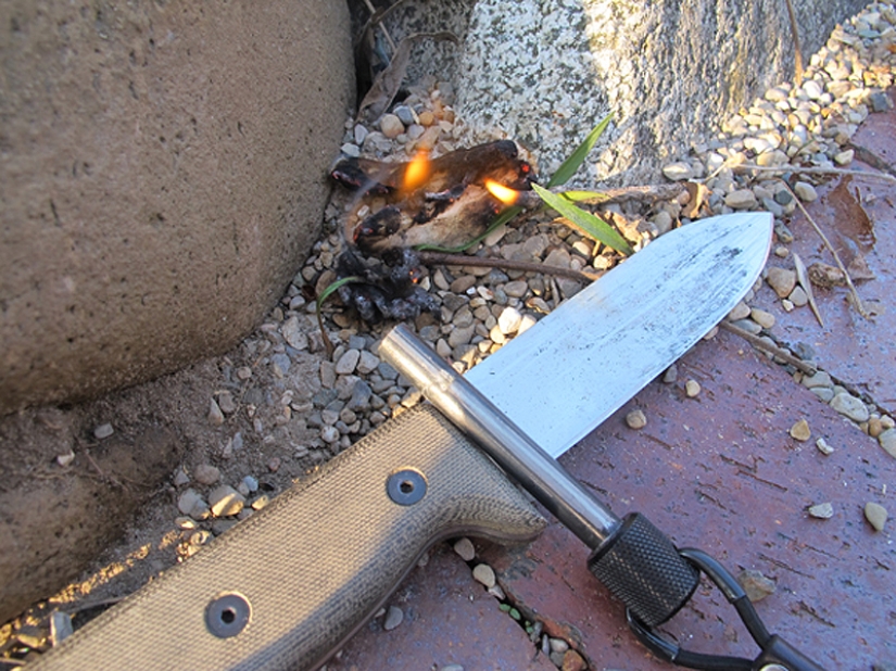 Cómo usar un tampón para un hombre de verdad: 10 consejos duros