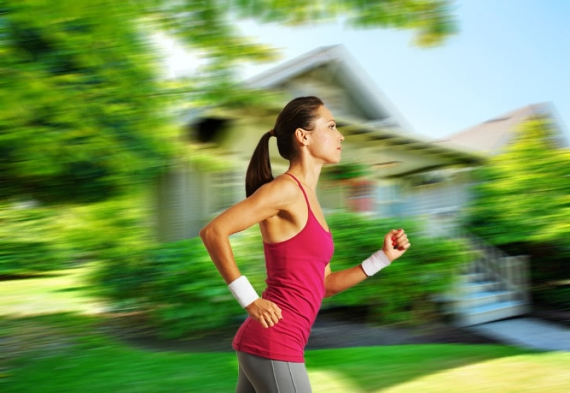 ¿Cómo ven el mundo los diferentes animales?