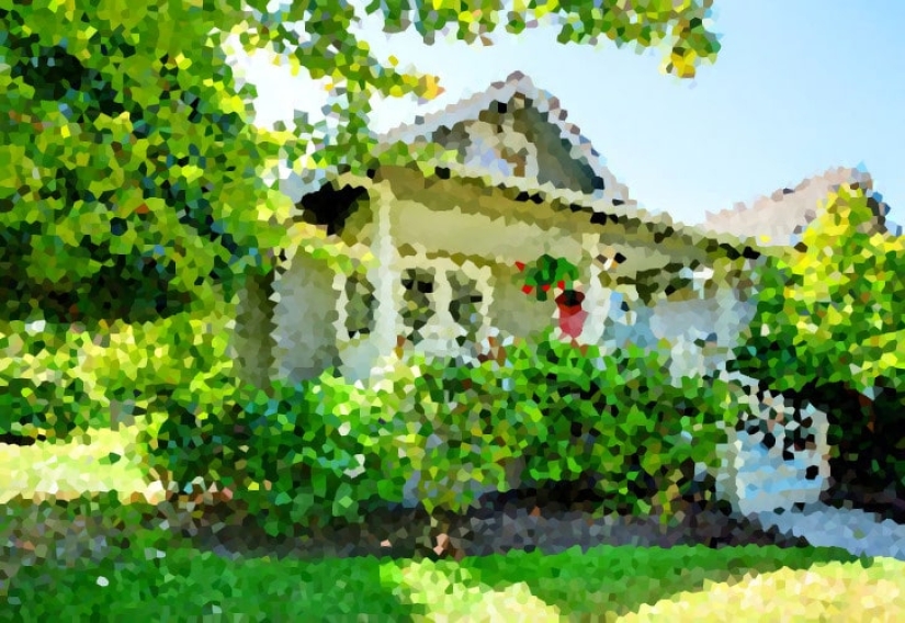 ¿Cómo ven el mundo los diferentes animales?