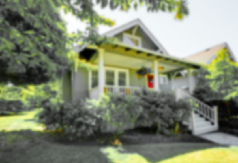 ¿Cómo ven el mundo los diferentes animales?