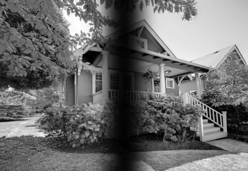 ¿Cómo ven el mundo los diferentes animales?