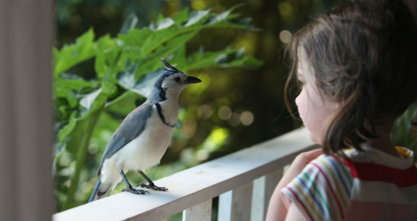 Cómo viajar por la jungla ayudó a un artista con autismo de ocho años