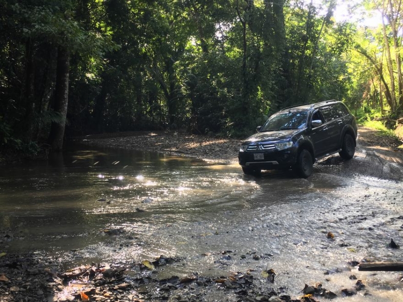 Cómo viajar por la jungla ayudó a un artista con autismo de ocho años
