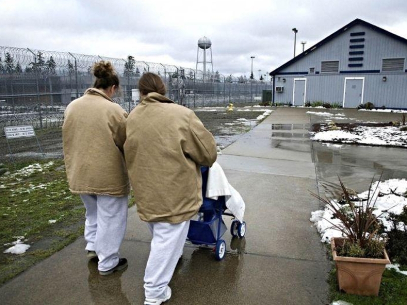 Cómo viven los niños recién nacidos de los presos en los EE.UU. y Rusia