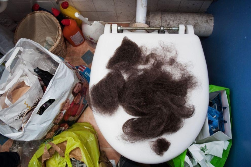 Cómo viven los "peluches" ingleses