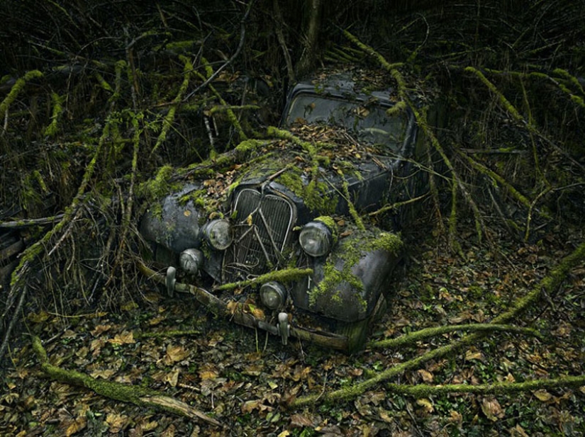 Coches abandonados en brazos de la naturaleza