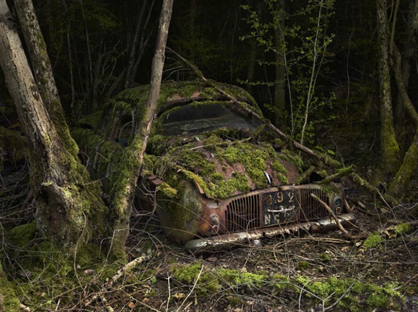 Coches abandonados en brazos de la naturaleza