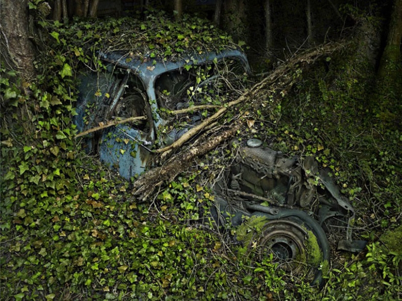 Coches abandonados en brazos de la naturaleza