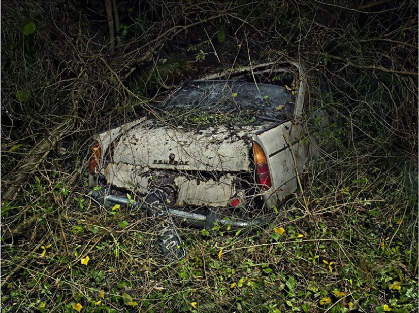 Coches abandonados en brazos de la naturaleza