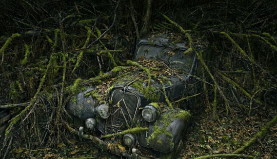 Coches abandonados en brazos de la naturaleza