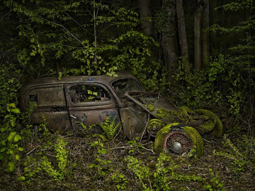 Coches abandonados en brazos de la naturaleza