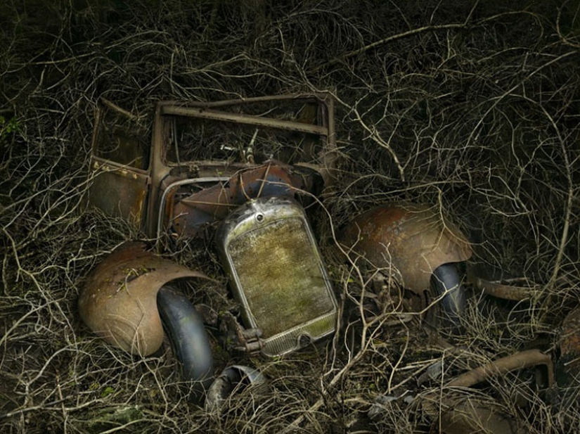 Coches abandonados en brazos de la naturaleza
