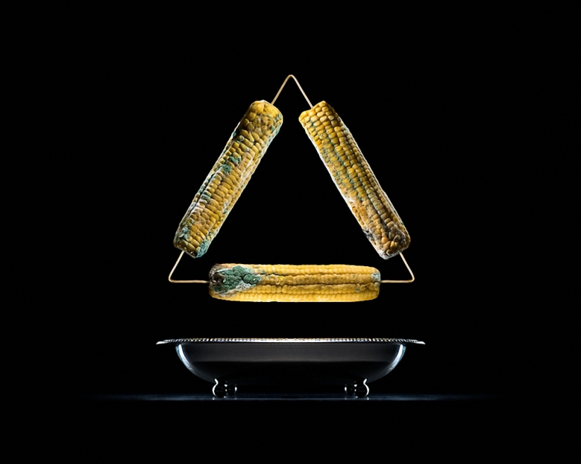 Comida podrida repugnantemente hermosa Comida podrida repugnantemente hermosa