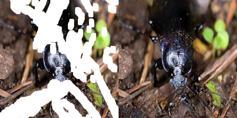 Con la nueva herramienta de autocompletar de NVIDIA, ya no pintarás los ojos con piel