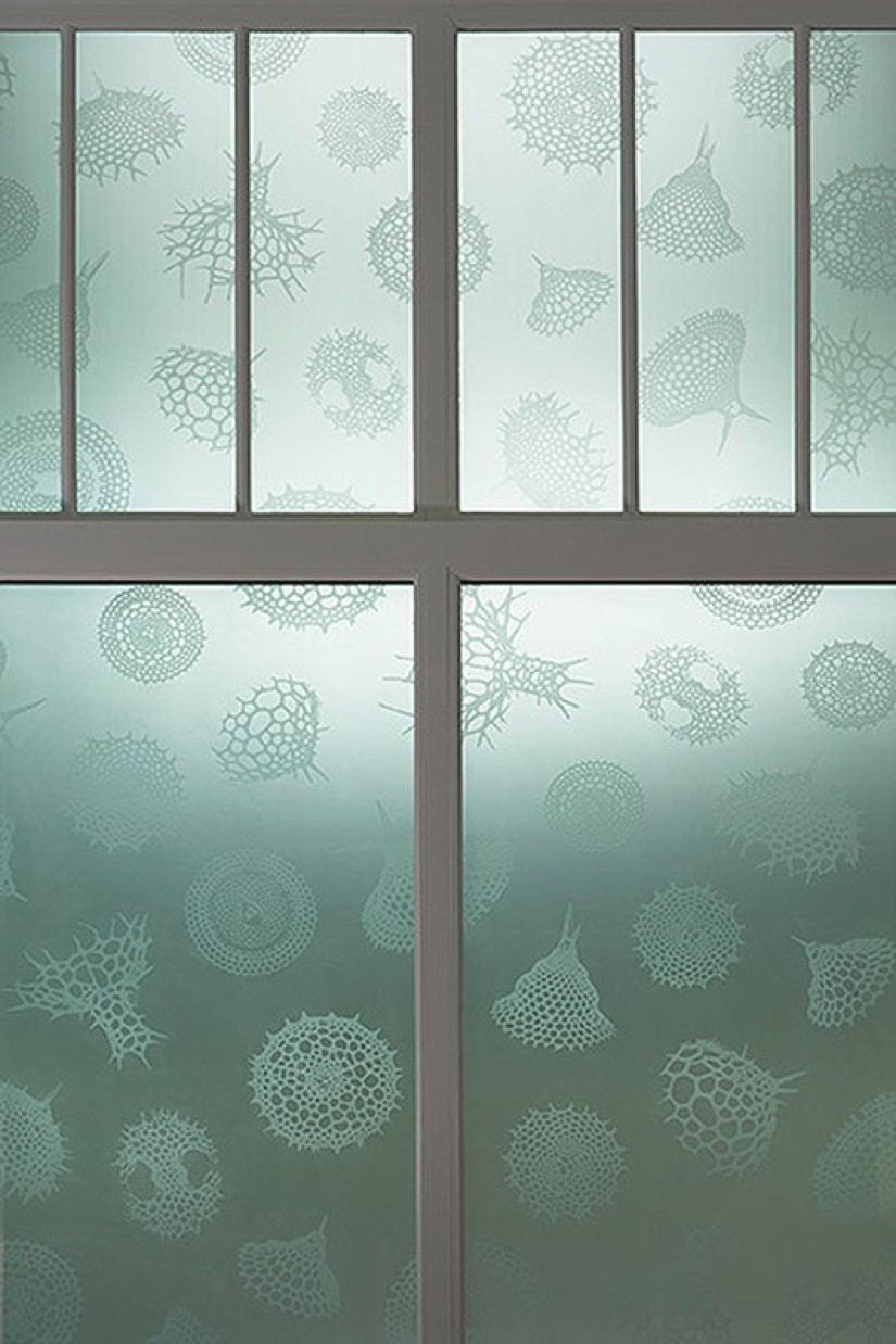 Con miopía - en Micropia