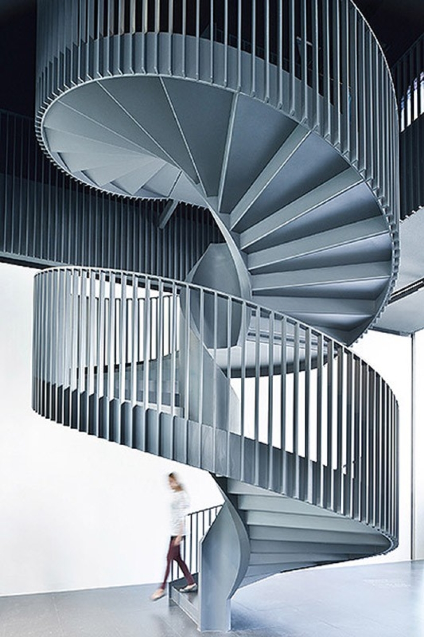 Con miopía - en Micropia