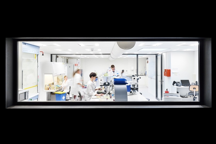 Con miopía - en Micropia